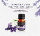 普罗旺斯的精灵ed2k